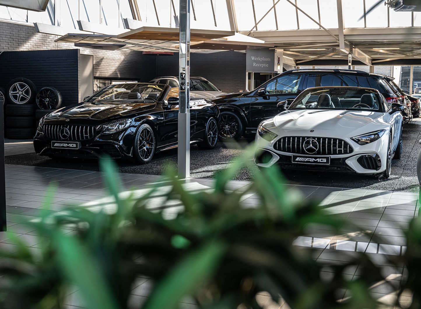 Image website_other_image_1764313242321922879.jpg | KHAN De Molen