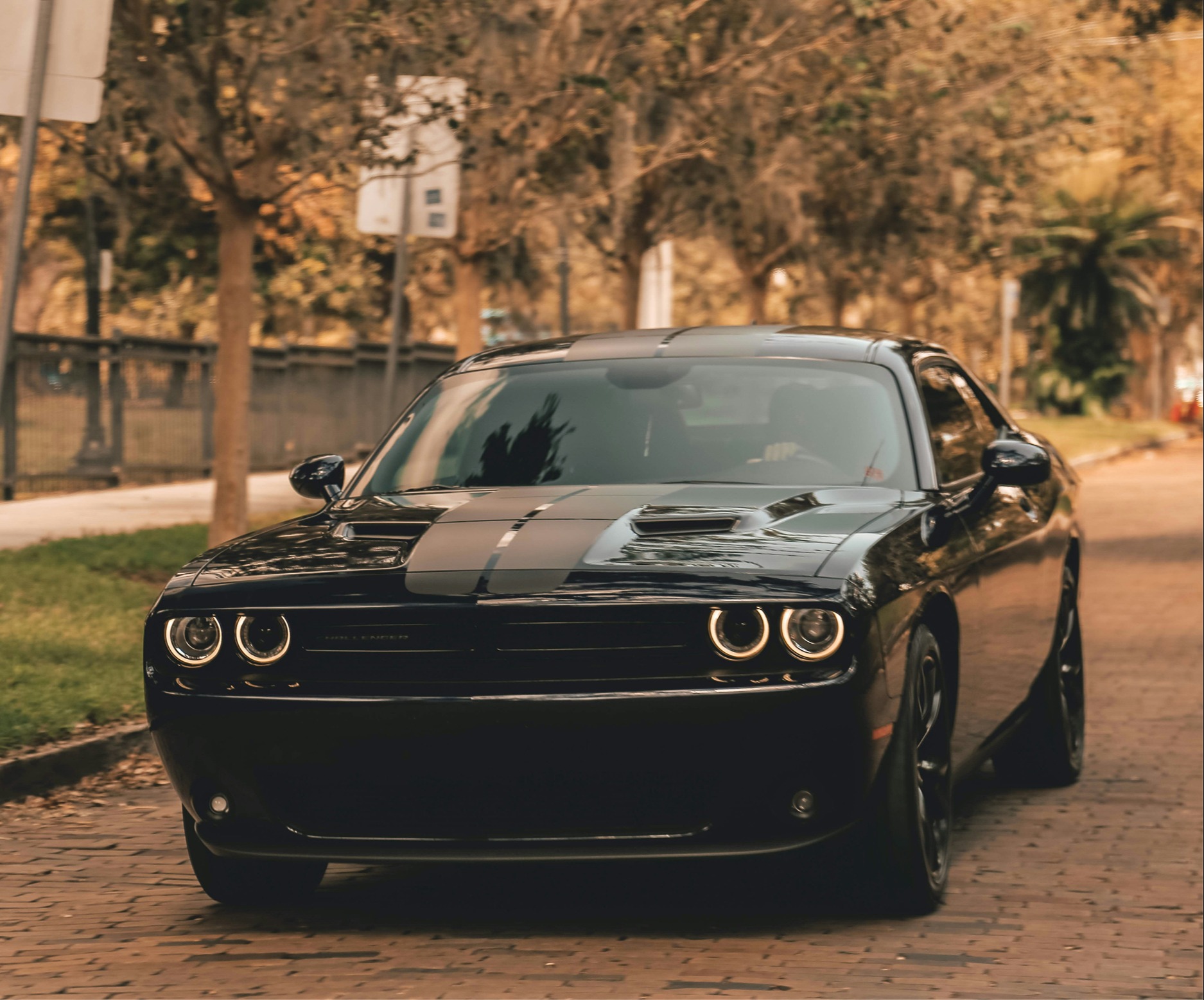 Article article_images_0_17645763891206709818.jpg | KHAN De Molen