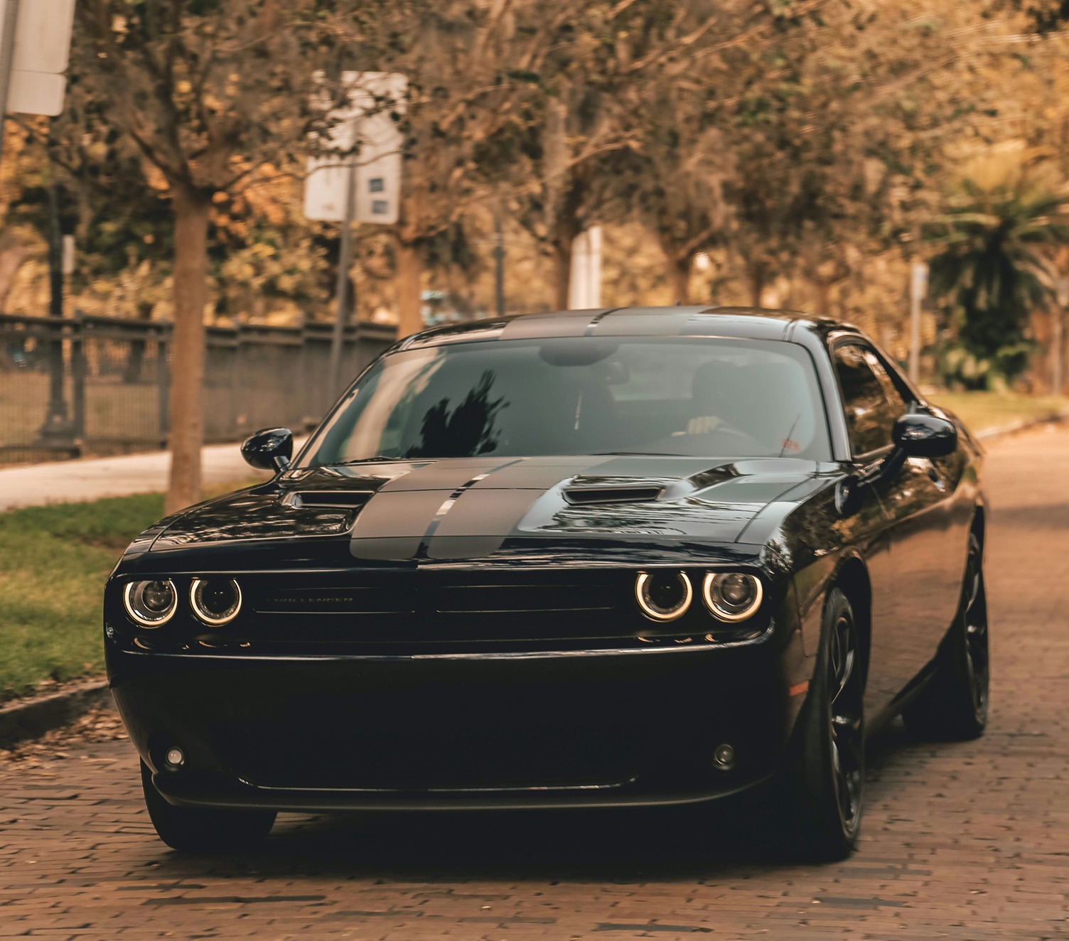 Header banner_images_3_1764574704678091388.jpg Over ons | KHAN De Molen